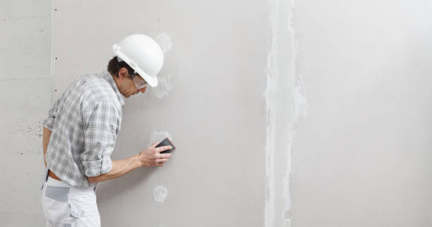 Best Fire-Damaged Drywall Repair  in Newport, TN